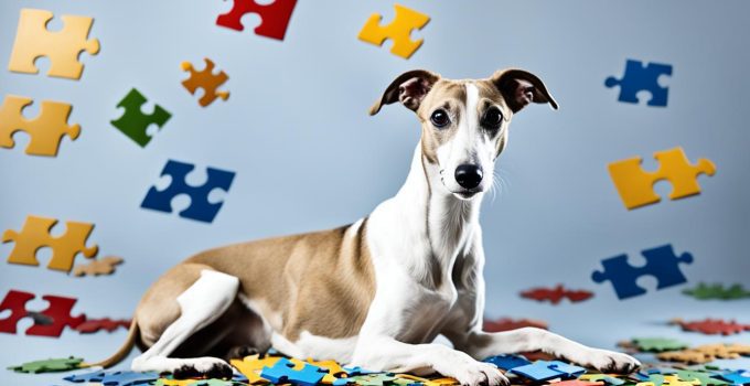 Are Whippets Smart? A Comprehensive Guide 2024